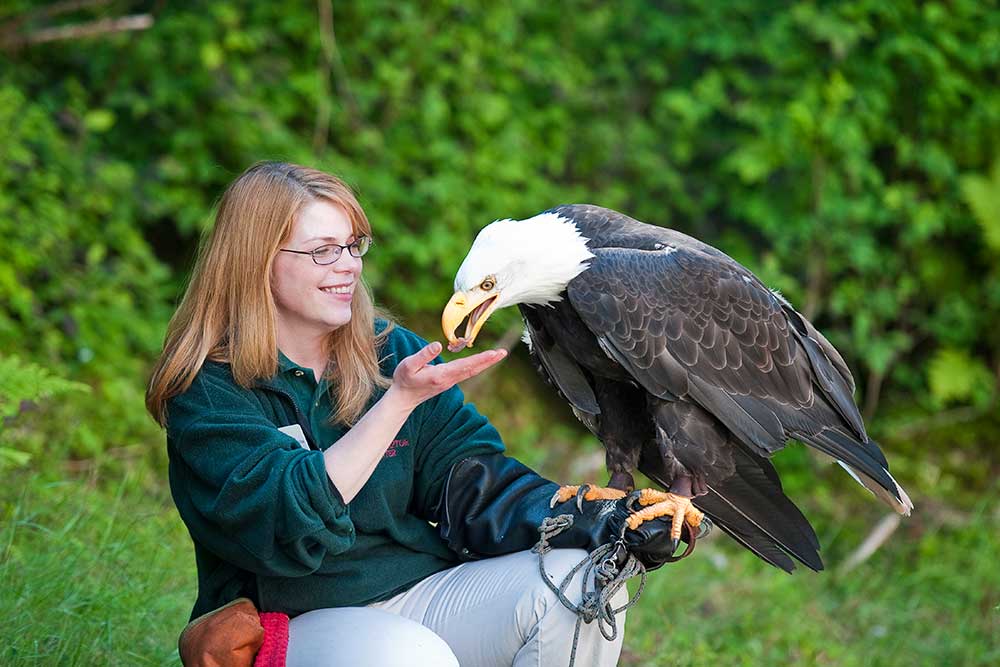 Best of Sitka Tour | Tours in Alaska