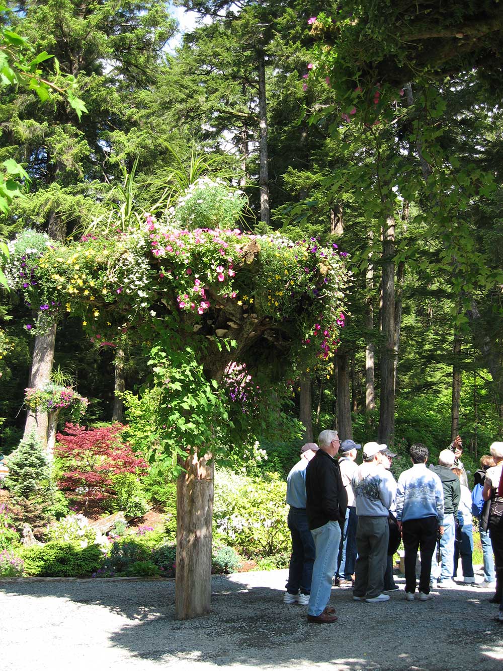 Mendenhall Glacier Rainforest Gardens Adventure Tour Tours In