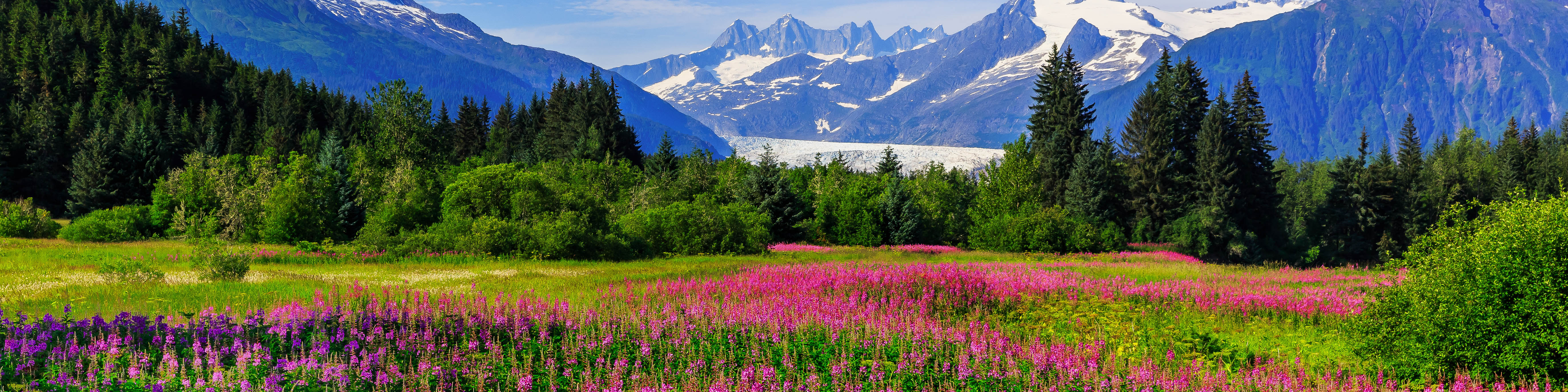 Juneau, Alaska Sightseeing Tours Tours in Alaska